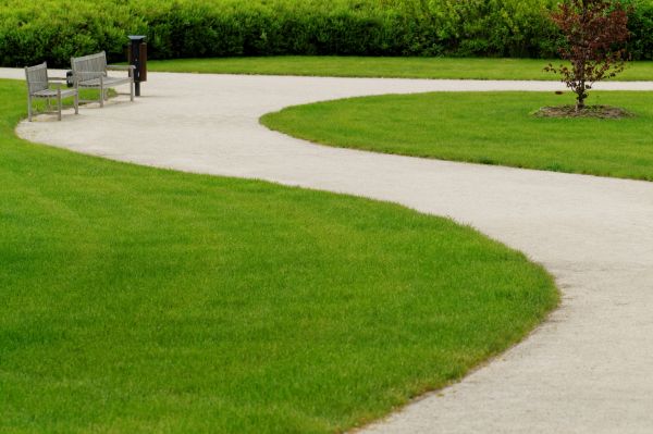 Cost of Concrete Walkway Installation in Raleigh