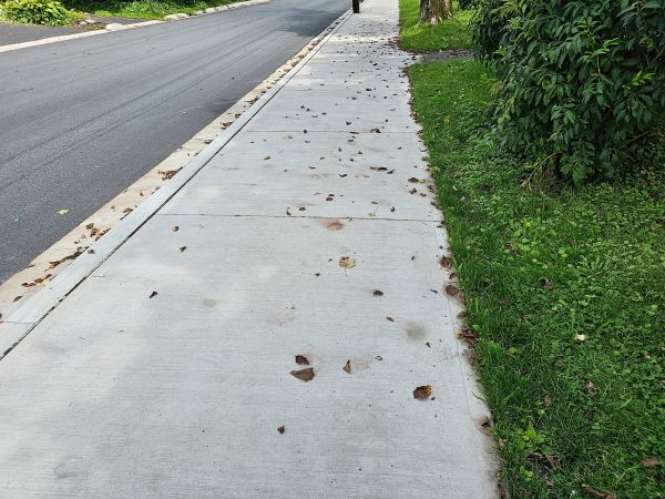Cost of Sidewalk Renovation in Raleigh