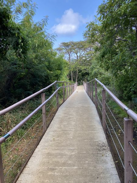 Cost of Footpath Construction in Raleigh