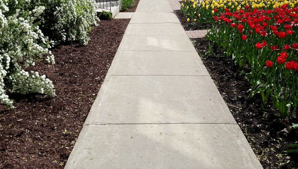 Cost of Cement Sidewalk Installation in Raleigh