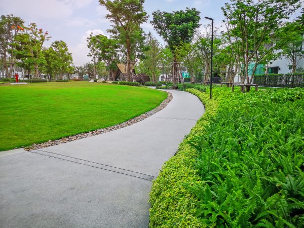 Cost of Cement Walkway Service in Raleigh