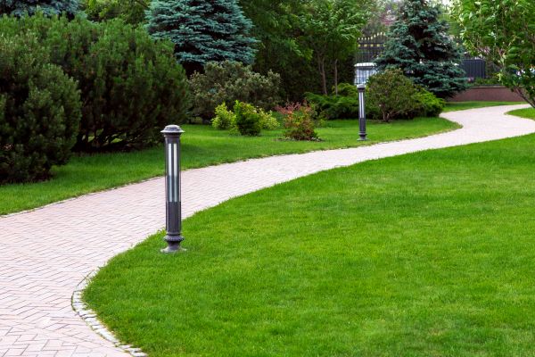 Cost of Backyard Sidewalk Installation in Raleigh