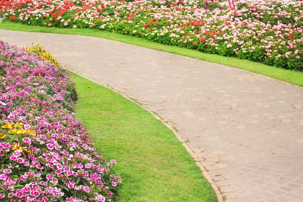 Cost of Concrete Walkway Service in Raleigh